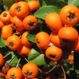 1208F 117 Neckar-Radweg